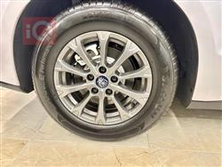 بي واي دي كوين L DM-i